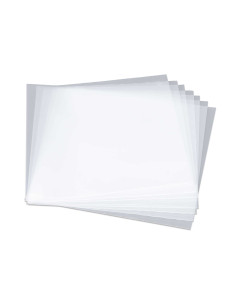 Reloop FUNDA PROTECTORA EXTERIOR PARA VINILOS 12'' PREMIUM (100 UDS)