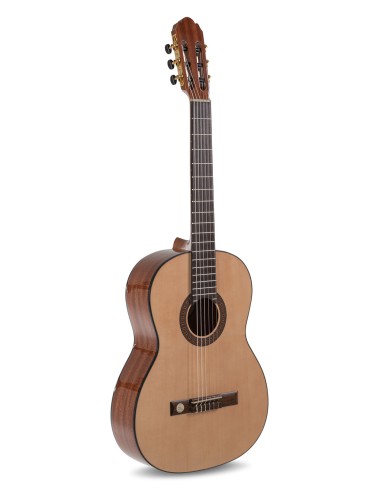 Classical guitar Pro Arte GC 210 A